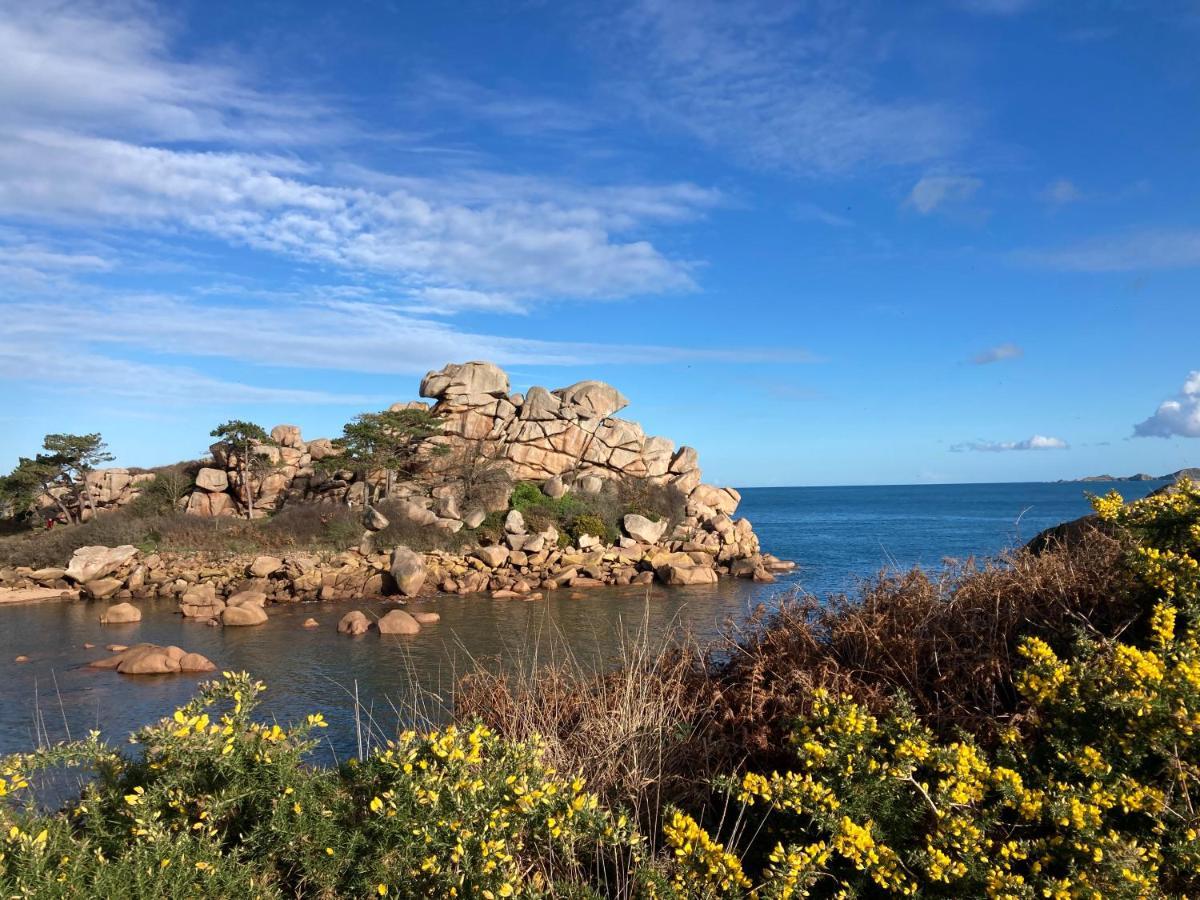 Les Hortensias à 50 m de la plage de Trestraou Perros-Guirec Extérieur photo